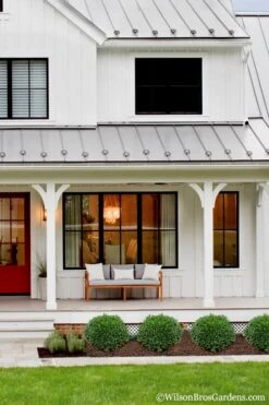 Korean Dwarf Boxwood - Buxus Sinica Var. Insularis 'Nana' - 6 Pack Of 1 Gallon Pots -Foxtail Plant Shop Boxwood Korean Dwarf Insularis Nana 4