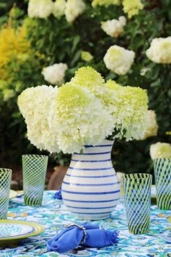 Limelight PeeGee Hydrangea - 7 Gallon Pot (3-4') -Foxtail Plant Shop Hydrangea Limelight 106