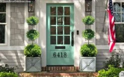 Green Mountain Boxwood 3-Ball Poodle Tier Topiary - 6 Gallon Pot -Foxtail Plant Shop buxus green mountain 3 ball topiary 20