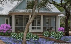 Snow Globe Gardenia - 3 Gallon Pot -Foxtail Plant Shop gardenia jasminoides snow globe 2